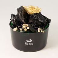 Hop Hare Cristales difusores y conjunto floral - El Rey