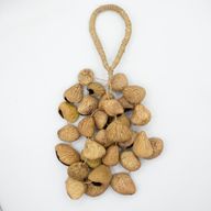Cáscara de semilla de pangi de tamaño medio - agitador natural de nueces (30 cáscaras)