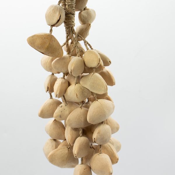 Sonajero Largo de Conchas Kenari (50 conchas)