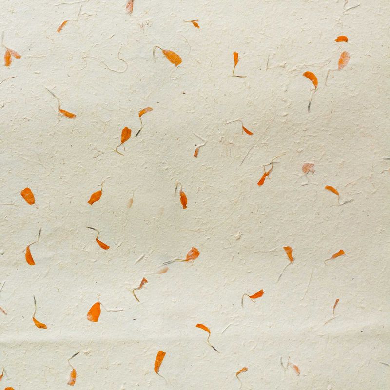 Lokta Craft / Papel de regalo (51x76cm) - caléndula