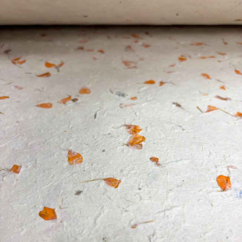 Lokta Craft / Papel de regalo (51x76cm) - caléndula
