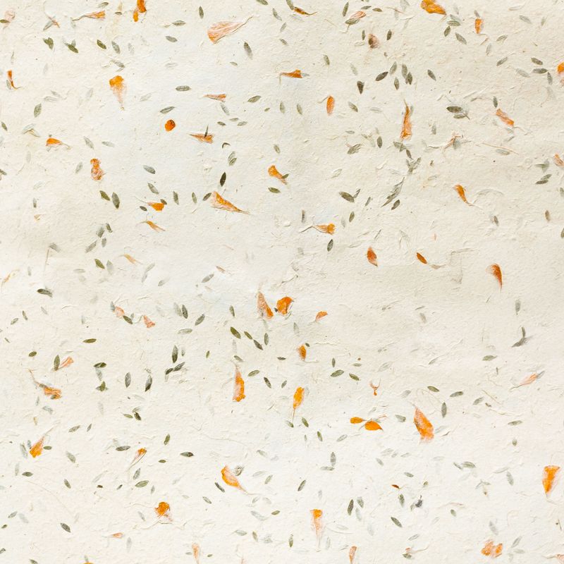 Lokta Craft / Papel de regalo (51x76cm) - Verde