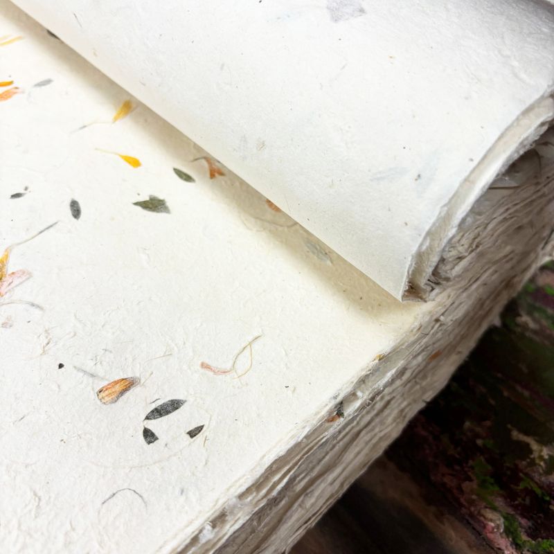 Lokta Craft / Papel de regalo (51x76cm) - Verde