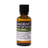 Aceite esencial orgánico de árbol de té 50 ml