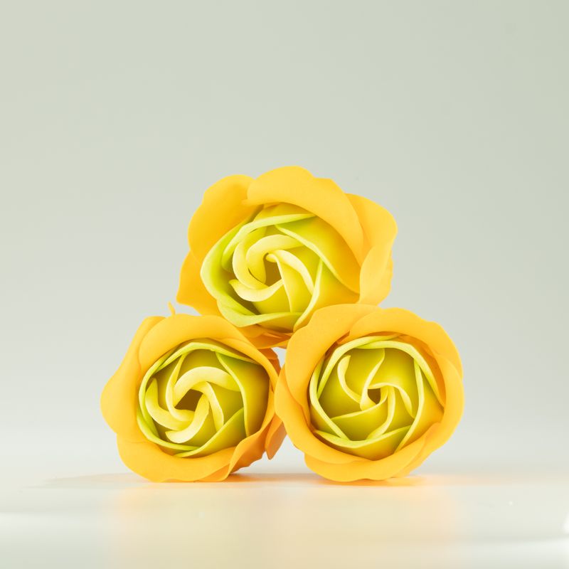 Caja de 3 Flores de Jabón - Rosas de Primavera