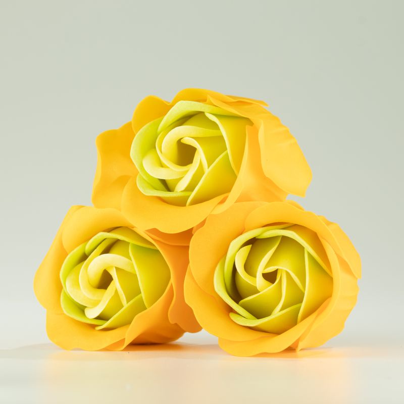 Caja de 3 Flores de Jabón - Rosas de Primavera