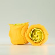 Caja de 3 Flores de Jabón - Rosas de Primavera