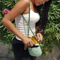 Bolsos de animales bonitos - Tigre