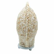 Lámpara bohemia de concha marina - concha de arte tallada, grande y redonda - 30 cm
