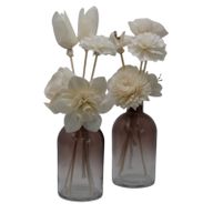 Flores difusoras naturales – Clavel en caña