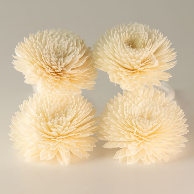 Flores naturales para difusor – Clavel grande en cuerda