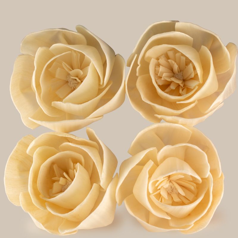Flores naturales para difusor – Rosa grande en cuerda