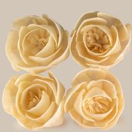 Flores naturales para difusor – Rosa grande en cuerda