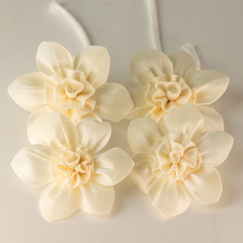Flores difusoras naturales – Lirio grande en cuerda