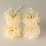 Flores difusoras naturales – clavel mediano en cuerda