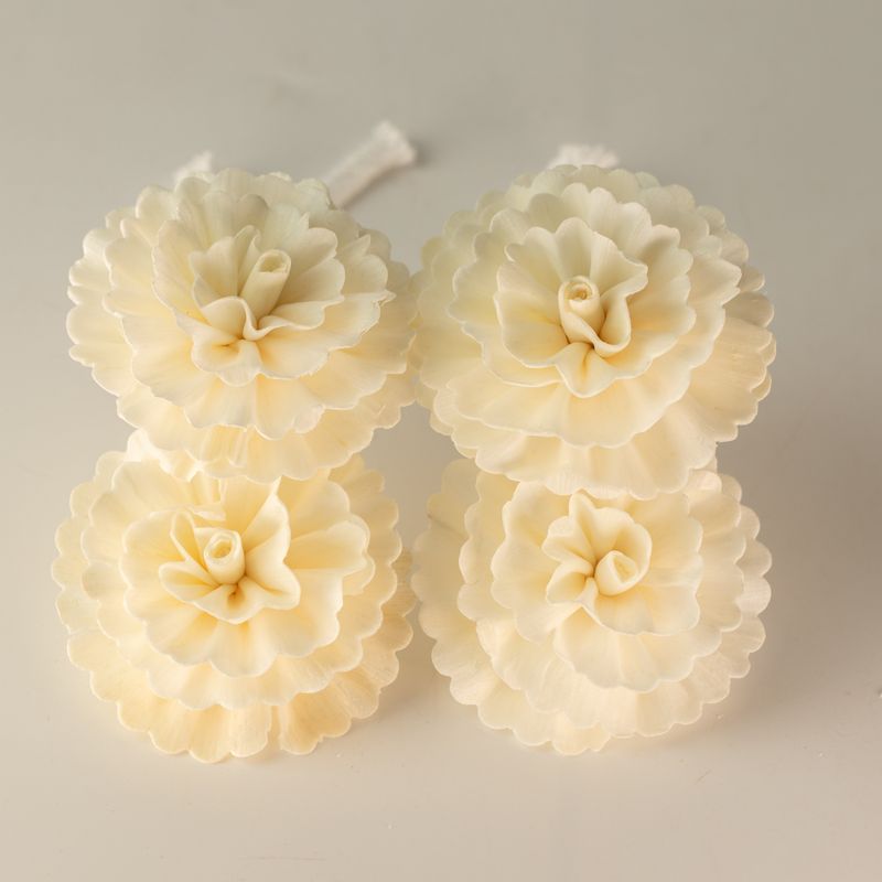 Flores difusoras naturales – clavel mediano en cuerda