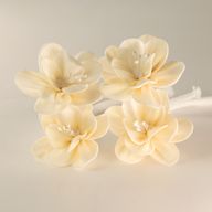 Flores difusoras naturales – Lirio pequeño en cuerda