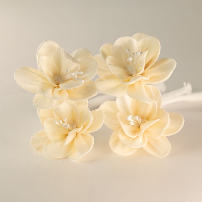 Flores difusoras naturales – Lirio pequeño en cuerda