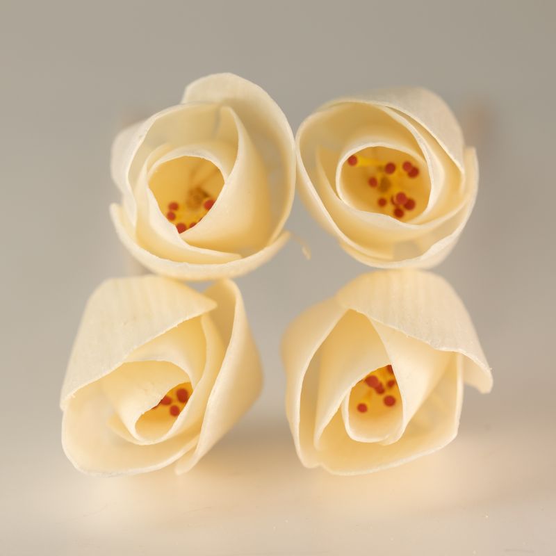 Flores difusoras naturales – Tulipán sobre caña