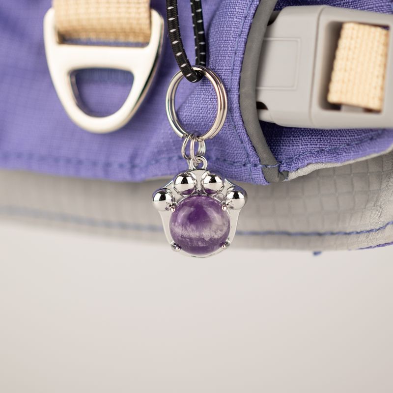 PAW - S (4-8 kg) Arnés de paso para perros Guardian con malla reflectante - Lavanda - Colgante de amatista