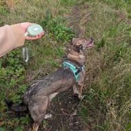 Correa para mascota Paw - Pocket Pod - Verde - 1.5 m