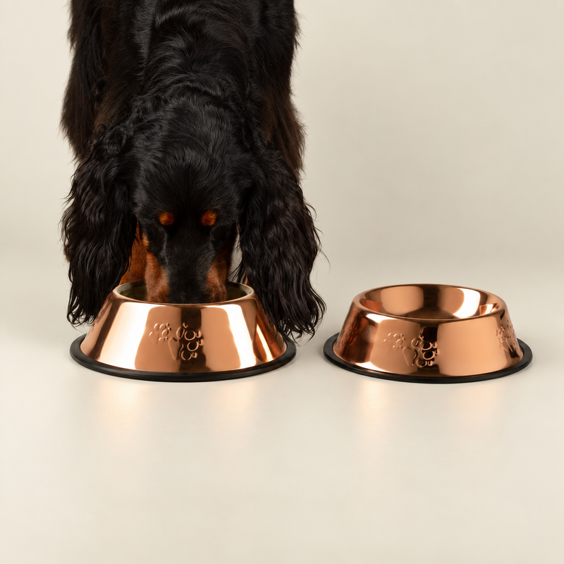 Tazones para comida PAW - Estilo único en cobre - 18 cm - Acero inoxidable (304)