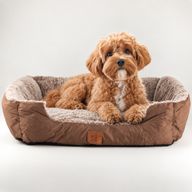 Cama para patitas - Oso de peluche marrón pequeño - 60x45x17cm