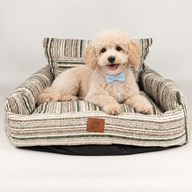 Cama para Patas - Sofá Mediano - Rayas Marrones - 60x60x28cm