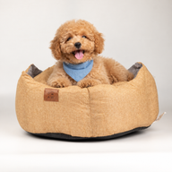 Cama para Patas - Mediana Royal Crown - Arena y Gris - 50x50x26cm
