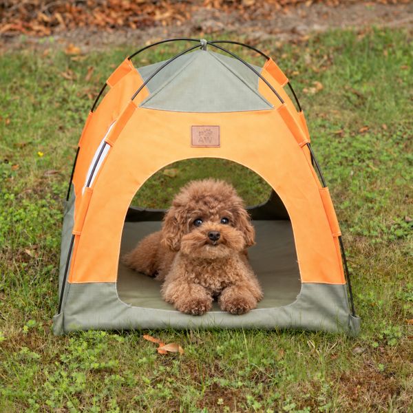 PAW Mayoreo de camas para mascotas y tiendas para mascotas acogedoras