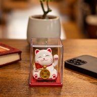 Mini Gato Ahorrador con Energía Solar en Caja - Blanco