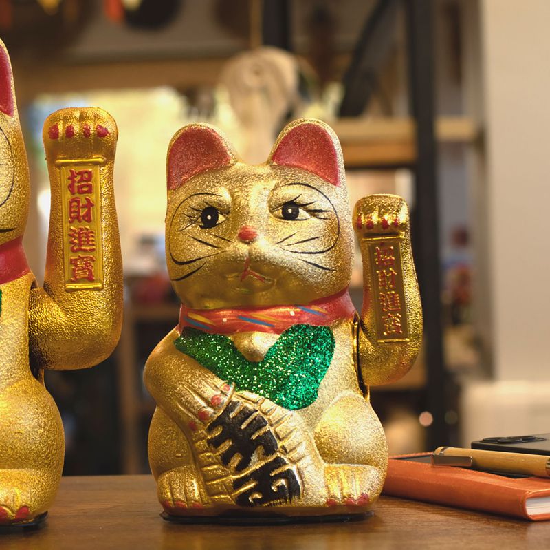 Gato de la fortuna grande