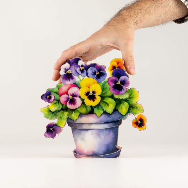 Plantas decorativas de madera - Pensamiento mediano
