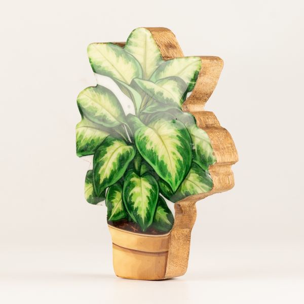 Plantas decorativas de madera - Mini planta de la selva