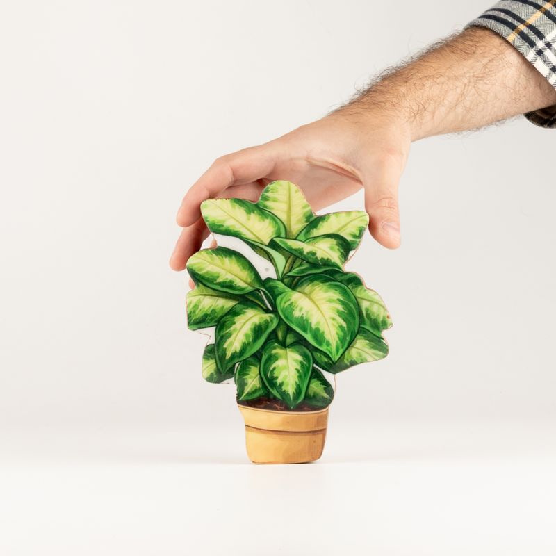 Plantas de interior de madera - Mini selva