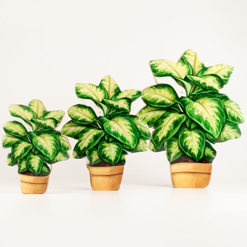 Plantas de interior de madera - Mini selva