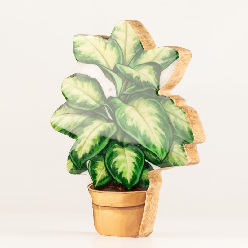 Plantas de madera para decorar – Planta de la jungla mediana