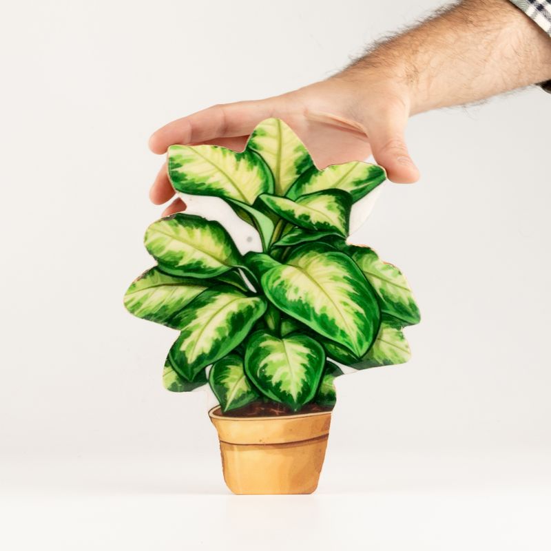 Plantas de madera para decorar – Planta de la jungla mediana