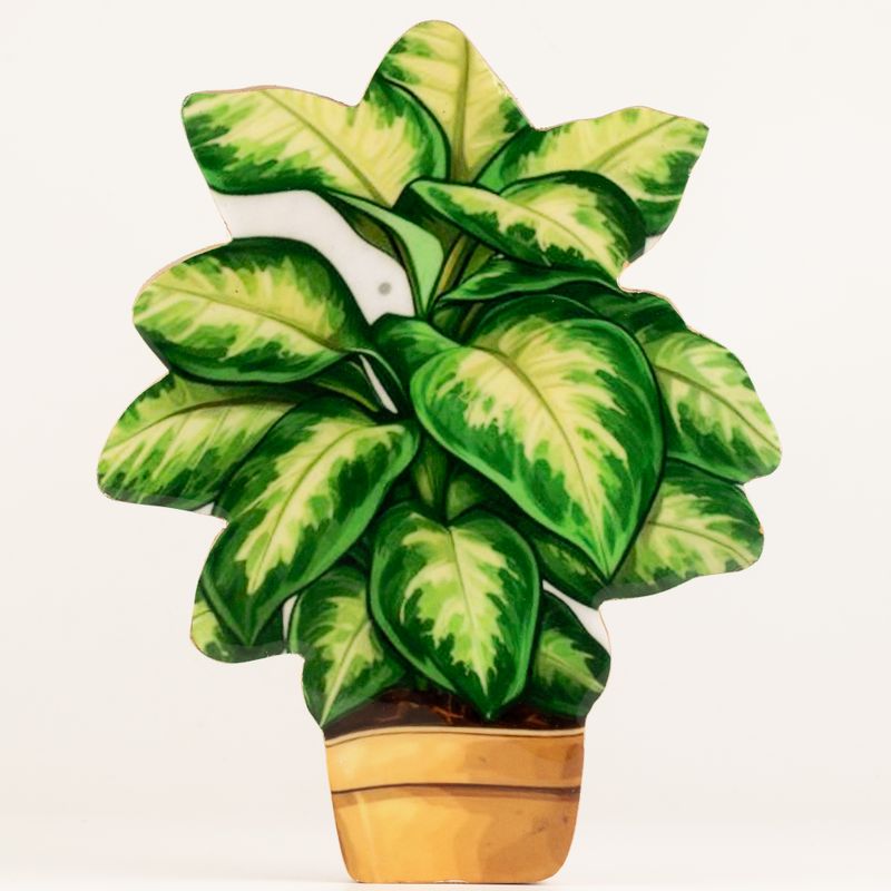 Plantas de madera - Pensamiento grande