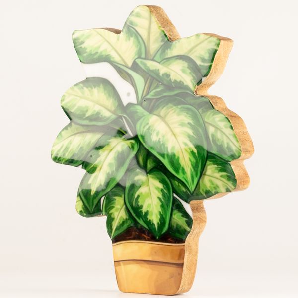 Plantas decorativas de madera - Pensamiento grande