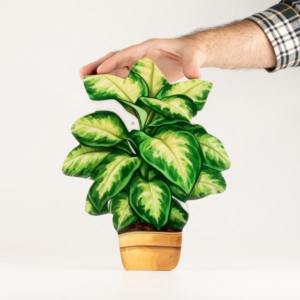 Plantas decorativas de madera - Pensamiento grande