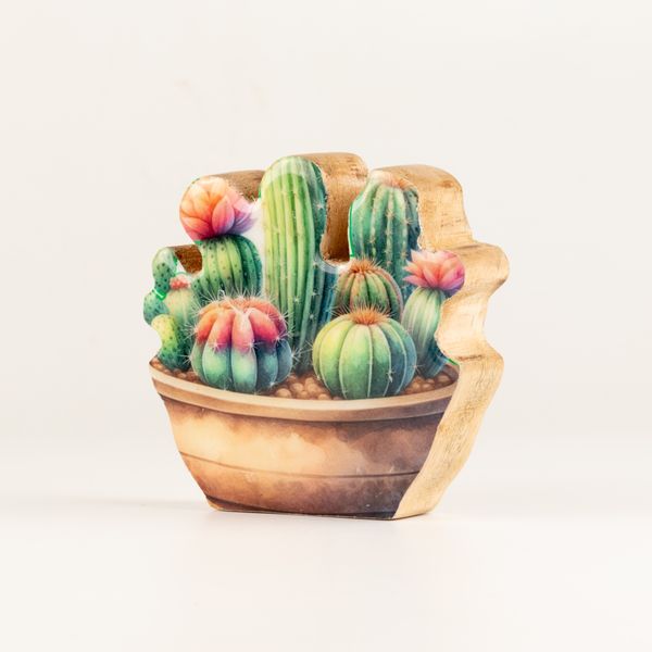 Plantas decorativas de madera - Mini jardín de cactus
