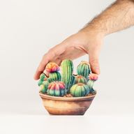 Plantas de madera – Mini jardín de cactus