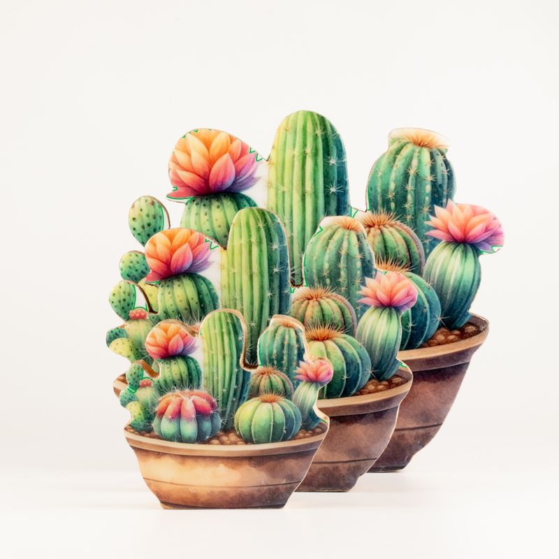 Plantas de madera – Mini jardín de cactus