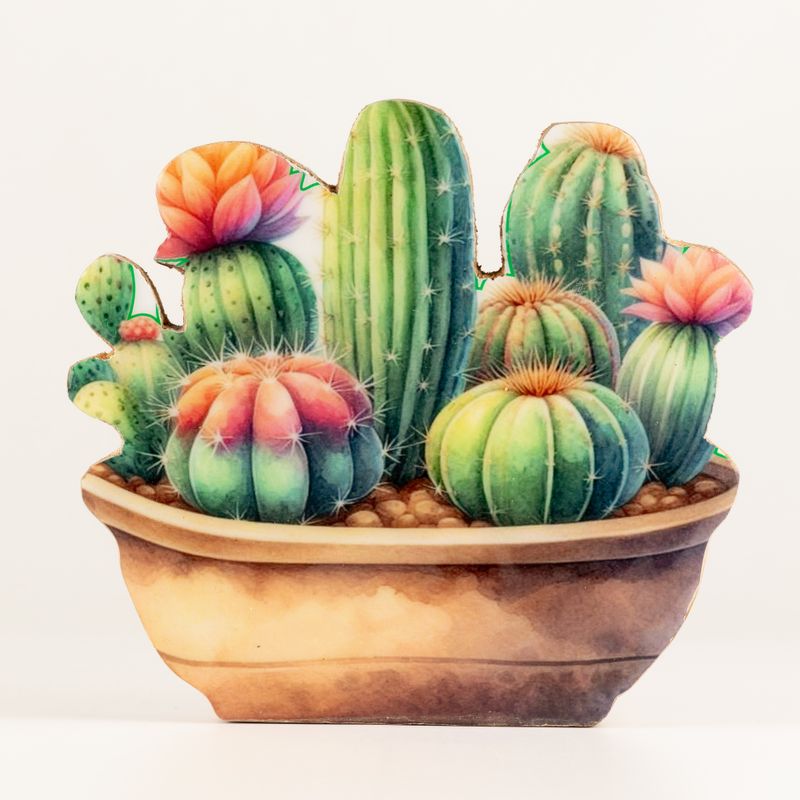 Plantas de madera – Jardín de cactus mediano