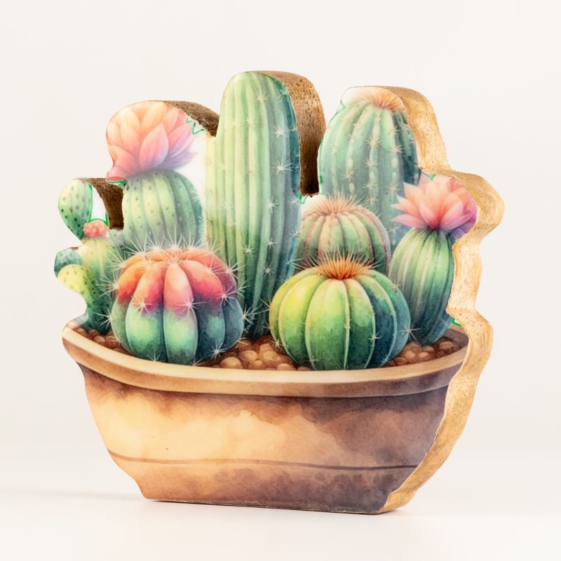 Plantas de madera – Jardín de cactus mediano
