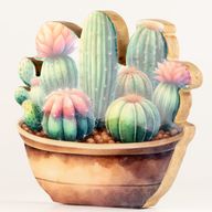 Plantas de madera - Jardín de cactus grande