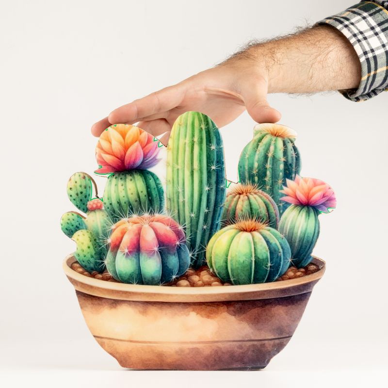 Plantas de madera - Jardín de cactus grande