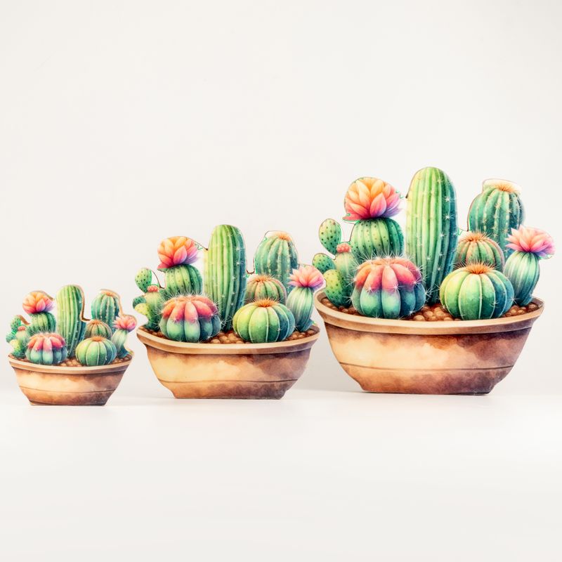 Plantas de madera - Jardín de cactus grande