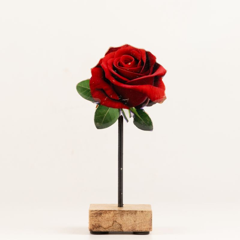 Plantas de madera – Mini rosa individual
